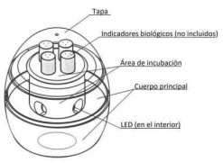 incubadora de esporas eco